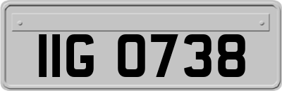 IIG0738