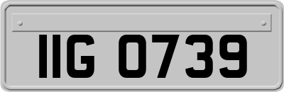 IIG0739