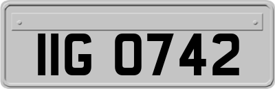 IIG0742