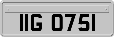 IIG0751