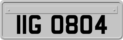 IIG0804