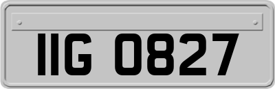 IIG0827
