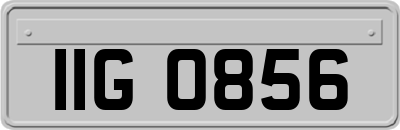 IIG0856
