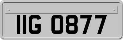 IIG0877
