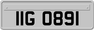 IIG0891