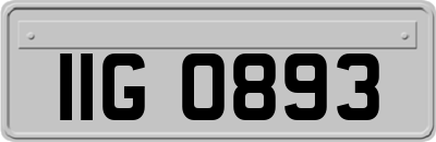 IIG0893