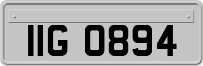 IIG0894