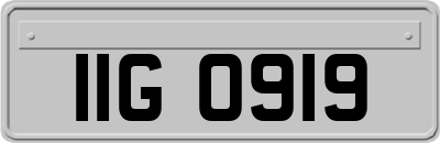 IIG0919
