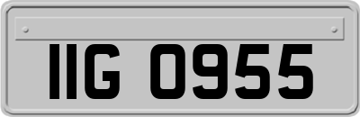 IIG0955