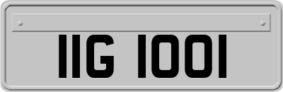 IIG1001