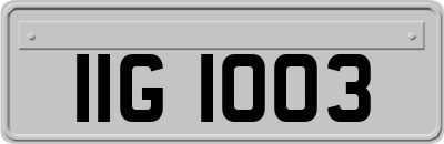 IIG1003