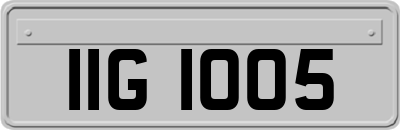 IIG1005