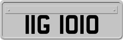 IIG1010