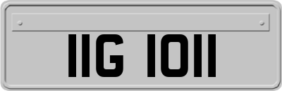IIG1011