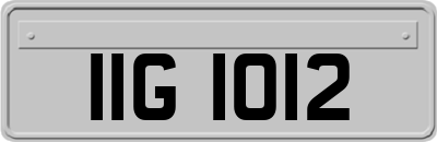 IIG1012