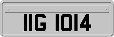 IIG1014