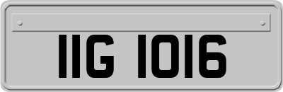 IIG1016