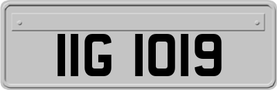 IIG1019