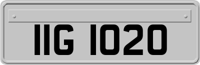 IIG1020