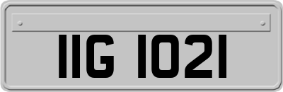 IIG1021