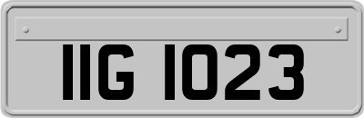 IIG1023