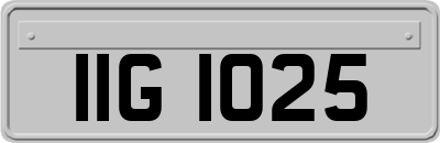 IIG1025