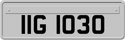 IIG1030