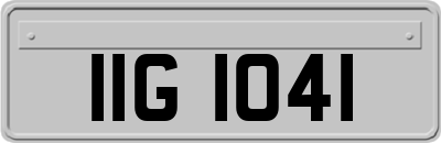 IIG1041