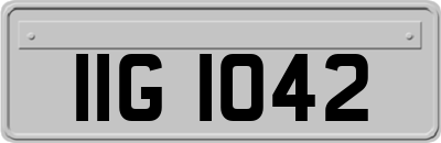 IIG1042