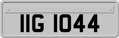 IIG1044