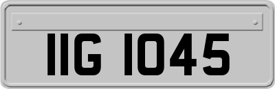 IIG1045