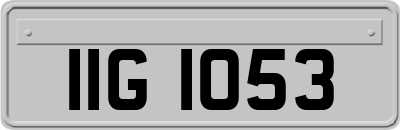 IIG1053