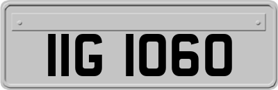 IIG1060