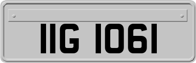 IIG1061