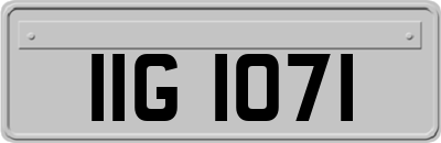 IIG1071