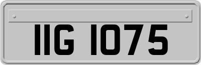 IIG1075