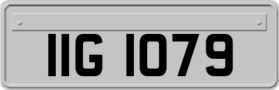IIG1079