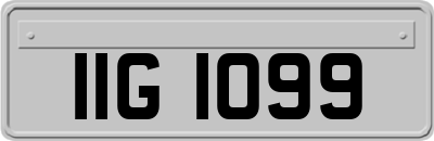 IIG1099