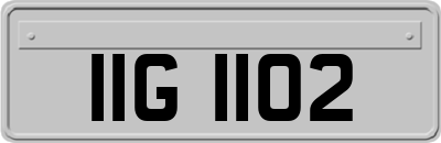 IIG1102