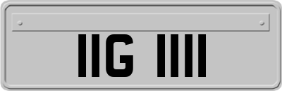 IIG1111