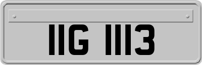 IIG1113