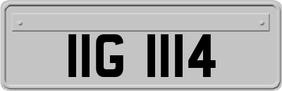 IIG1114