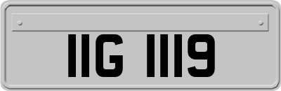 IIG1119