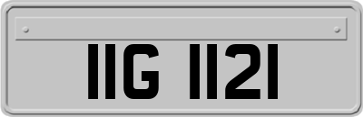 IIG1121