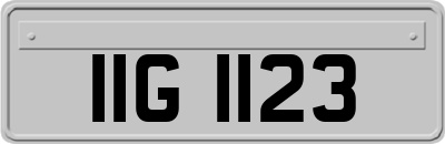 IIG1123