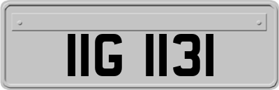 IIG1131