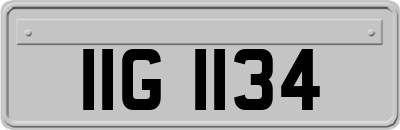 IIG1134