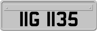 IIG1135