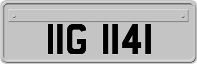 IIG1141