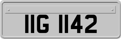 IIG1142